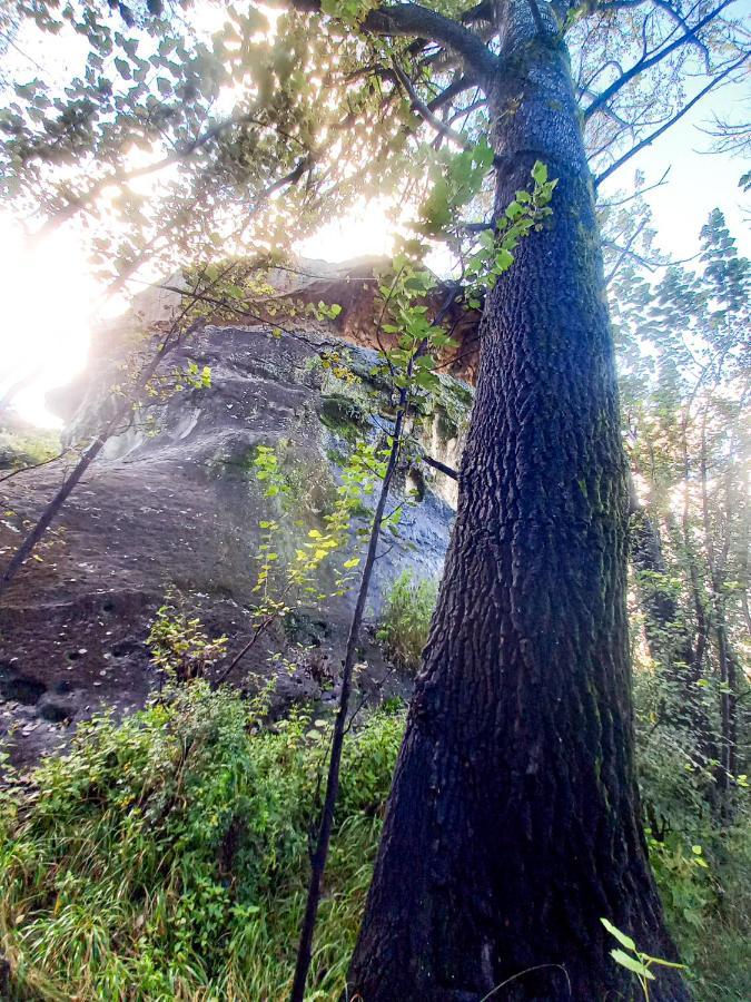 Forest Lane Clarens Luaran gambar
