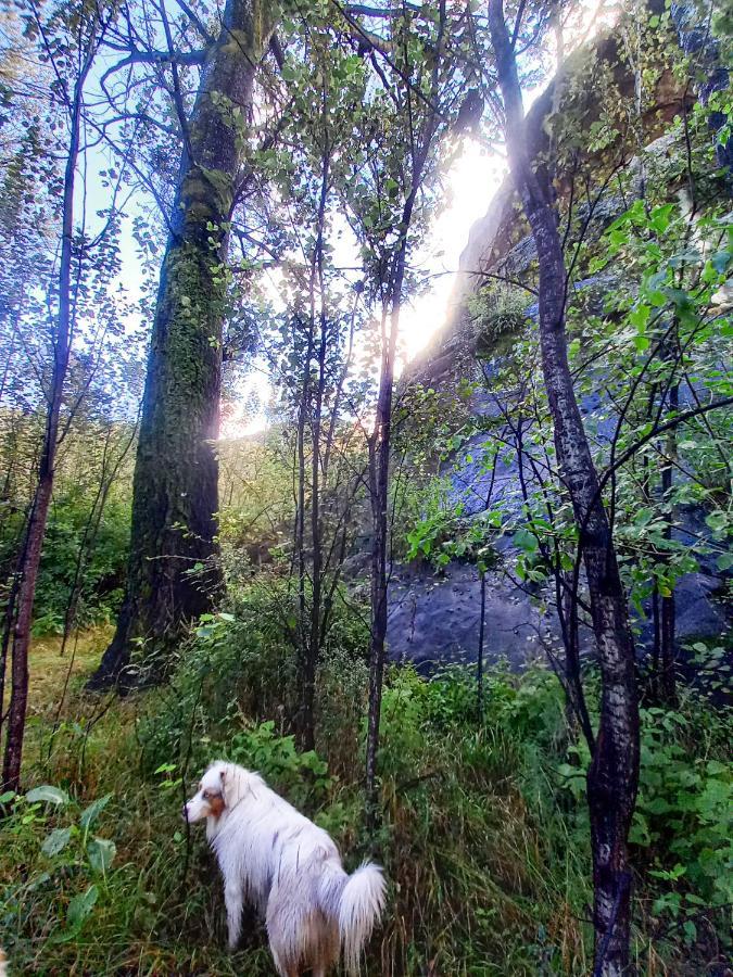 Forest Lane Clarens Luaran gambar