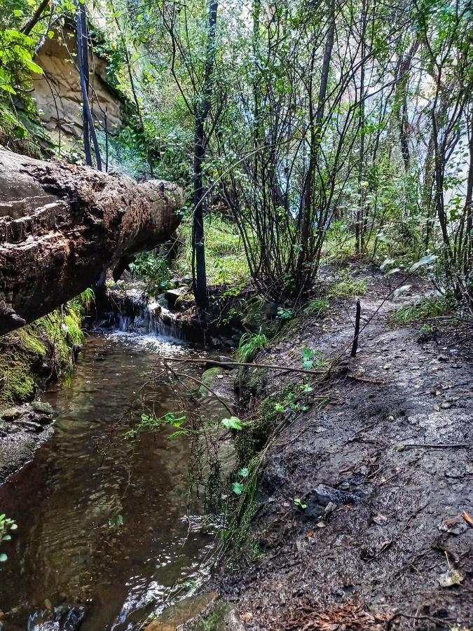 Forest Lane Clarens Luaran gambar