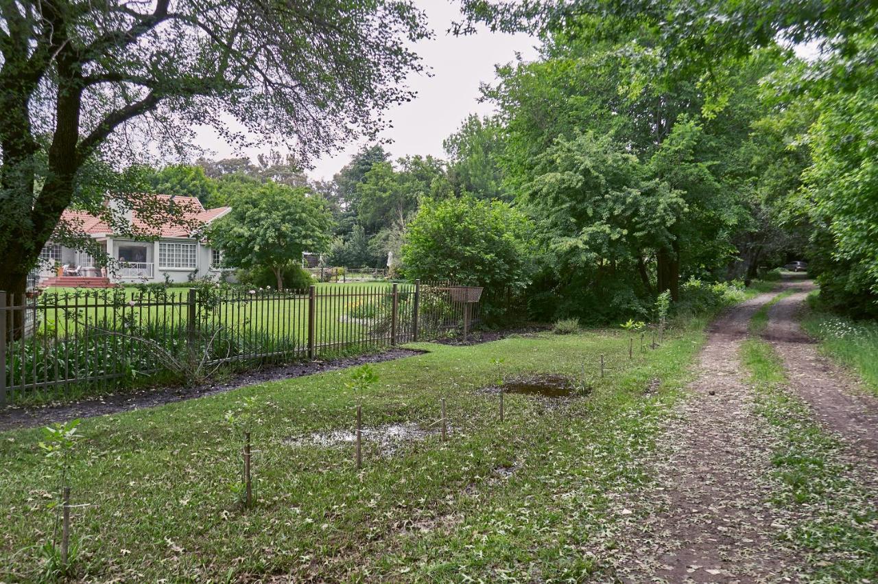 Forest Lane Clarens Luaran gambar