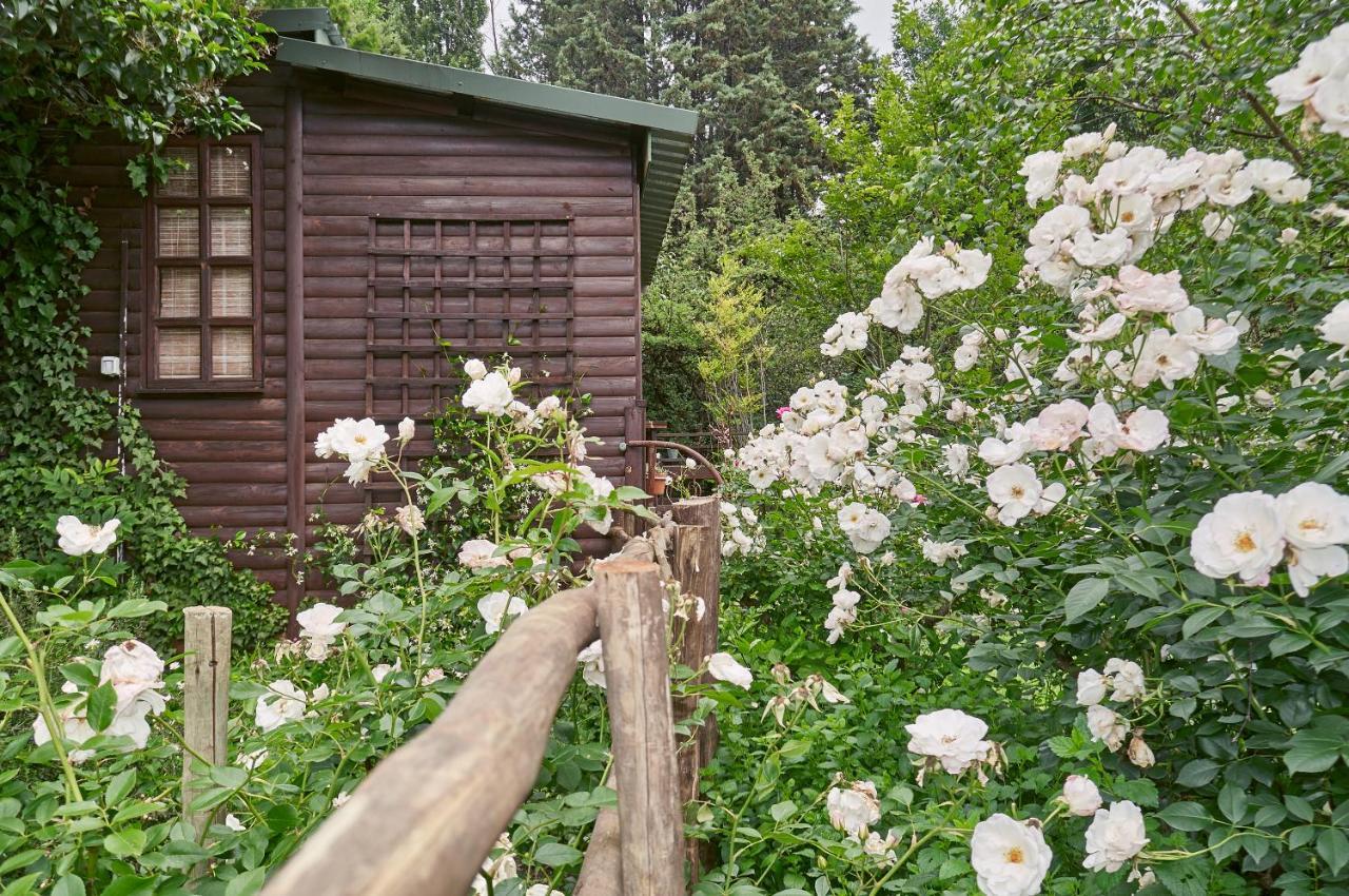 Forest Lane Clarens Luaran gambar