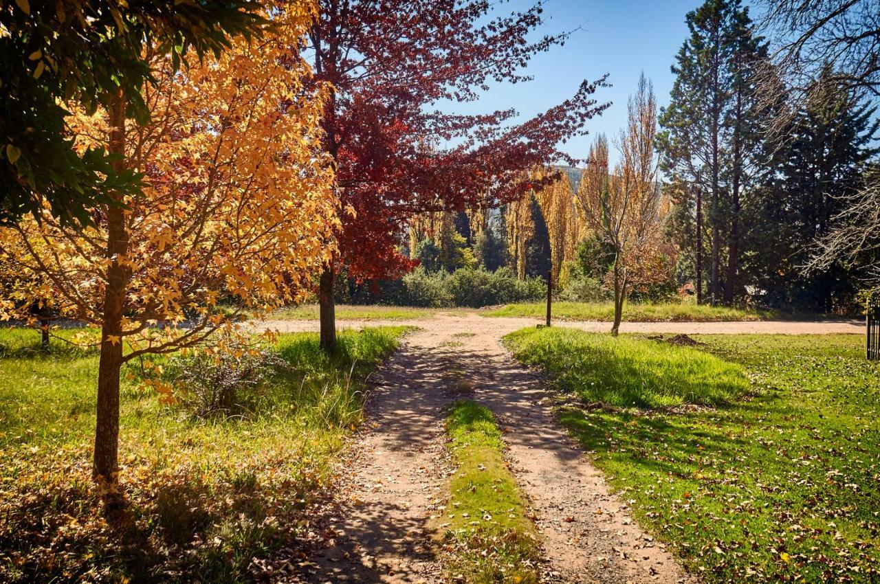 Forest Lane Clarens Luaran gambar