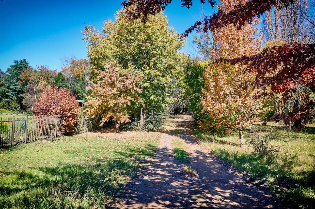 Forest Lane Clarens Luaran gambar